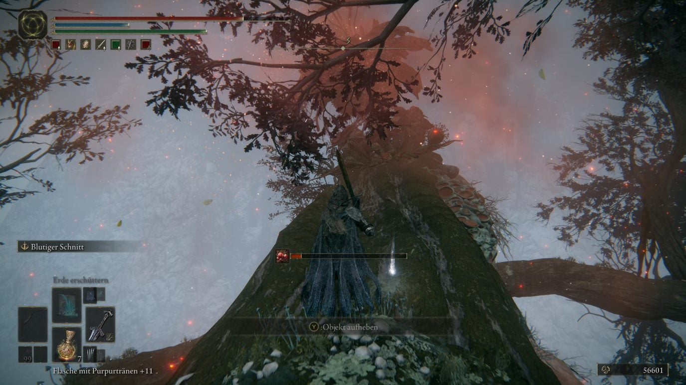 Elden Ring Miquellas Haligbaum Krone, Stadt und Orte der Gnade Eurogamer.de
